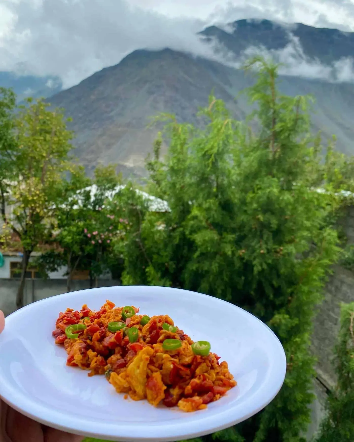 A plate of local Chitrali food held up against the mountains